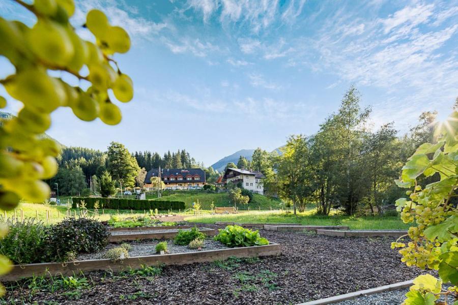 שלאדמינג Chalet Ferienhaus Hubertus מראה חיצוני תמונה